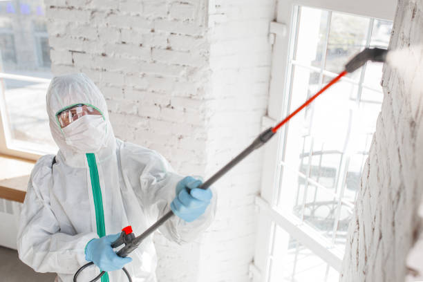 Best Dehumidification Services  in Center Point, AL
