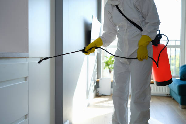Best Mold Remediation for Healthcare Facilities  in Center Point, AL
